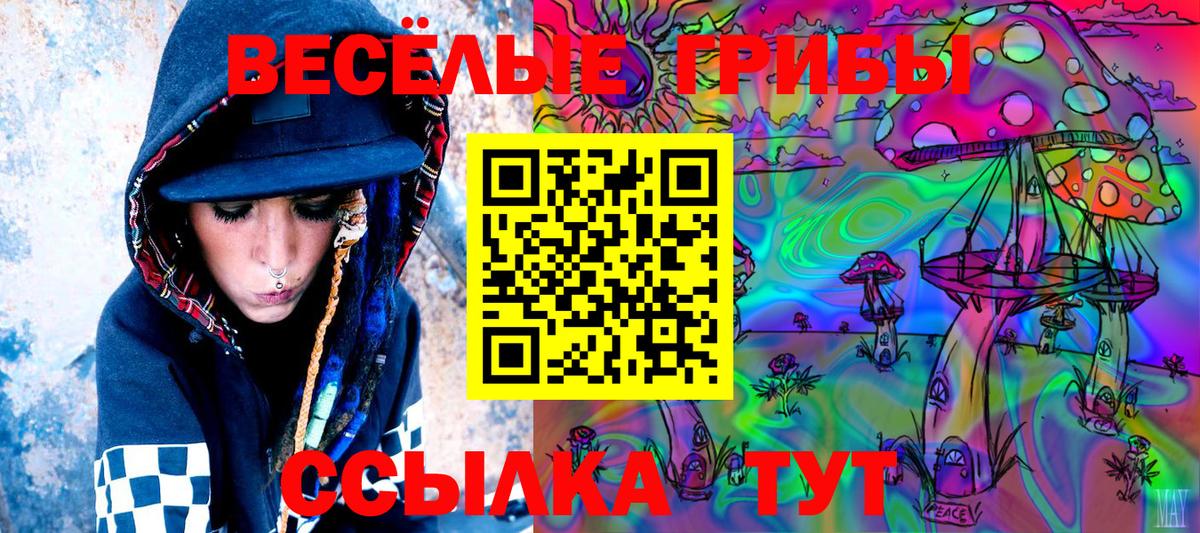 Галлюциногенные грибы мухоморы  Псилоцибиновые грибы Psilocybe  Вход с VPN  Фурманов 